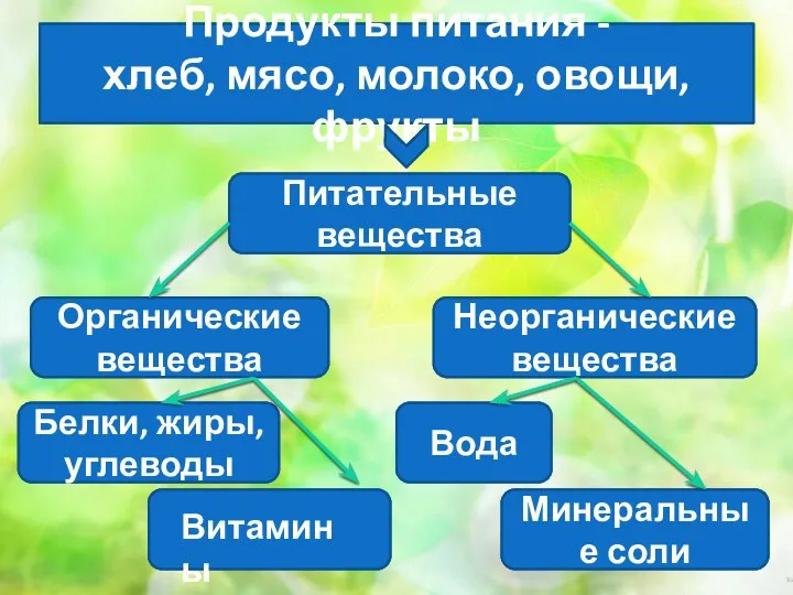 Продукты питания - хлеб, мясо, молоко, овощи, фрукты Органические вещества