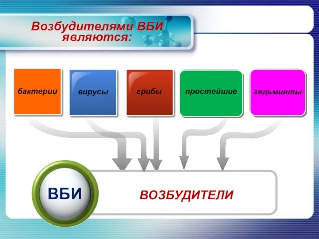 Возбудителями ВБИ являются: вирусы грибы простейшие бактерии гельминты