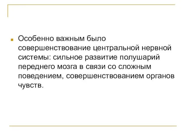 Особенно важным было совершенствование центральной нервной системы: сильное развитие полушарий переднего мозга в