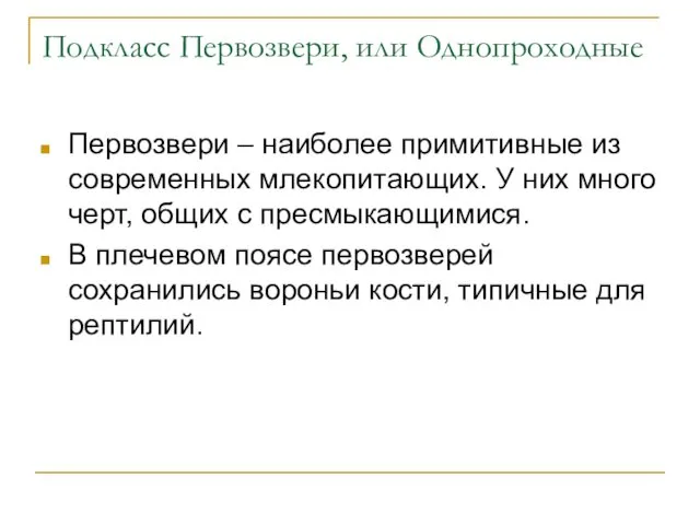 Подкласс Первозвери, или Однопроходные Первозвери – наиболее примитивные из современных