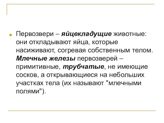 Первозвери – яйцекладущие животные: они откладывают яйца, которые насиживают, согревая