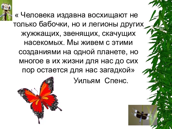 « Человека издавна восхищают не только бабочки, но и легионы других жужжащих, звенящих,