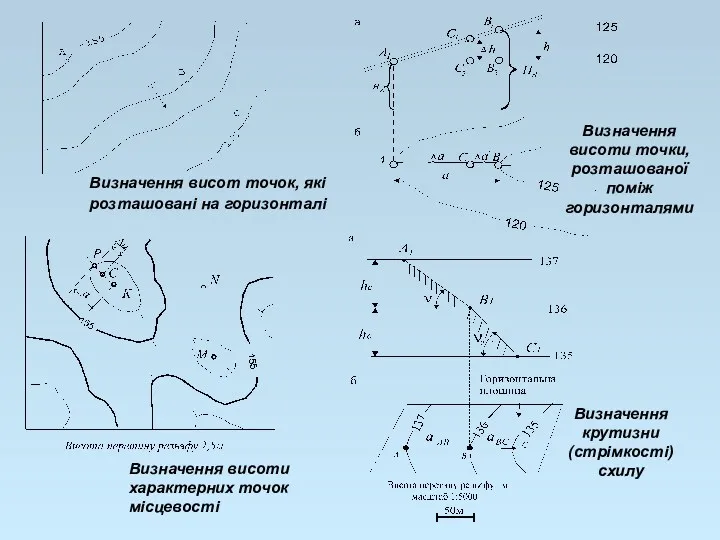 Визначення висоти характерних точок місцевості Визначення висоти точки, розташованої поміж