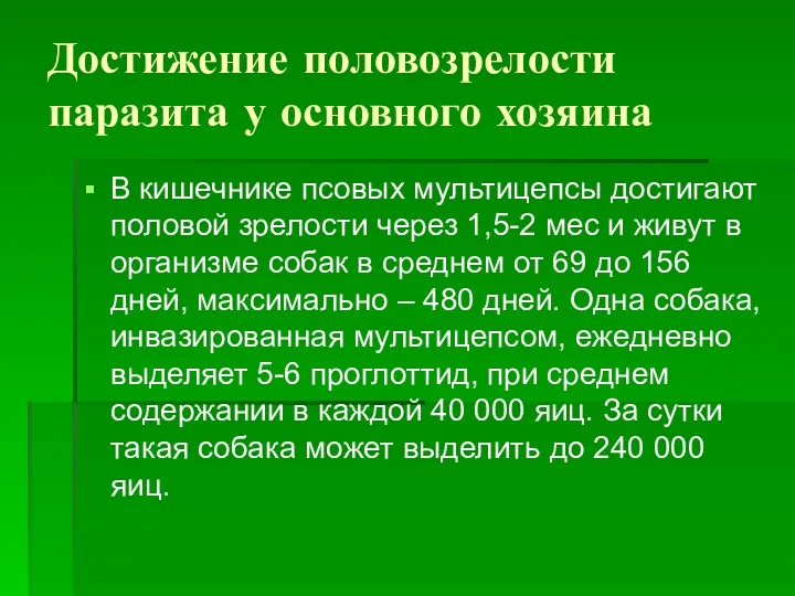 Достижение половозрелости паразита у основного хозяина В кишечнике псовых мультицепсы