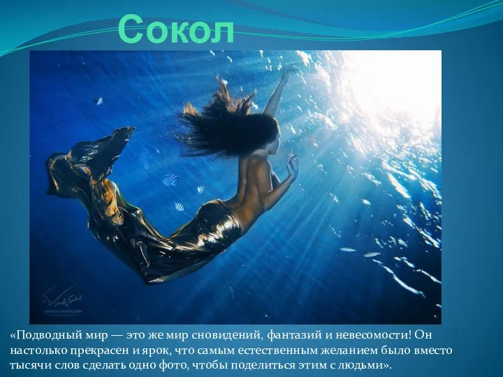 Виталий Сокол «Подводный мир — это же мир сновидений, фантазий