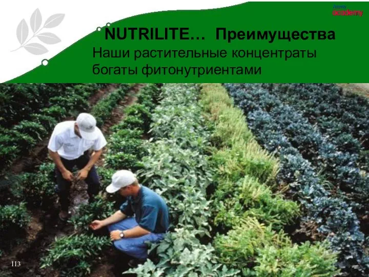 NUTRILITE… Преимущества Наши растительные концентраты богаты фитонутриентами