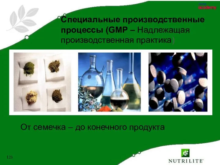 Специальные производственные процессы (GMP – Надлежащая производственная практика) От семечка – до конечного продукта
