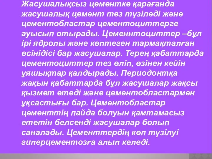 Жасушалықсыз цементке қарағанда жасушалық цемент тез түзіледі және цементобластар цементоциттерге