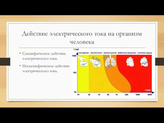 Действие электрического тока на организм человека Специфическое действие электрического тока. Неспецифическое действие электрического тока.