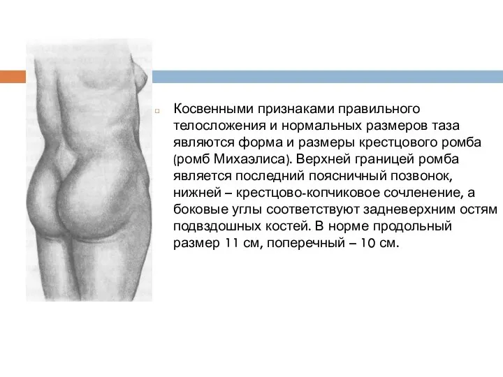 Косвенными признаками правильного телосложения и нормальных размеров таза являются форма