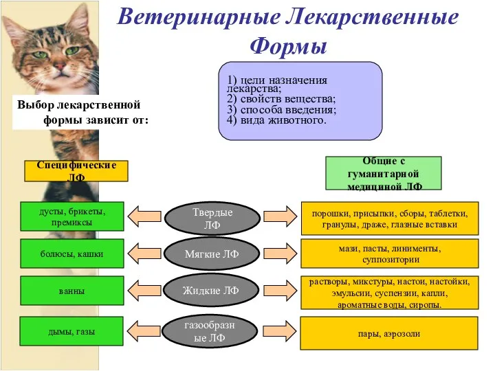 Ветеринарные Лекарственные Формы 1) цели назначения лекарства; 2) свойств вещества;