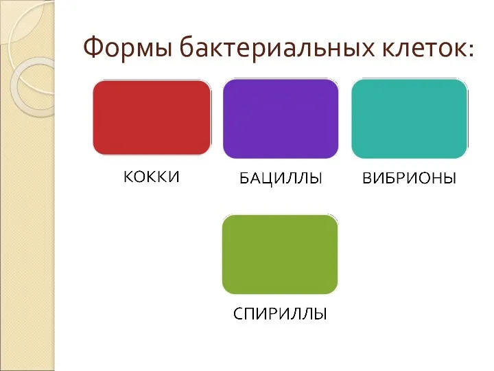 Формы бактериальных клеток: