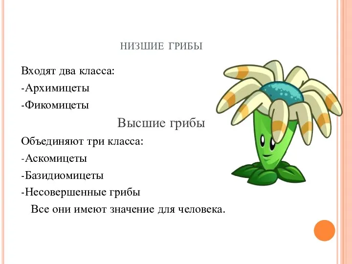 низшие грибы Входят два класса: -Архимицеты -Фикомицеты Высшие грибы Объединяют