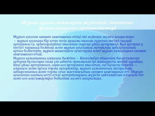 Мұрын қуысы тамырлы жүйесінің Анатомо-физиологиялық ерекшеліктері Мұрын қуысын қанмен қамтамасыз