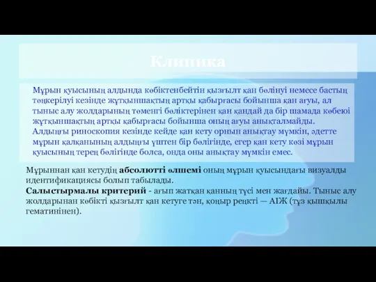 Клиника Мұрын қуысының алдында көбіктенбейтін қызғылт қан бөлінуі немесе бастың