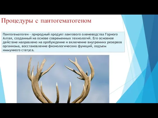 Процедуры с пантогематогеном Пантогематоген - природный продукт пантового оленеводства Горного