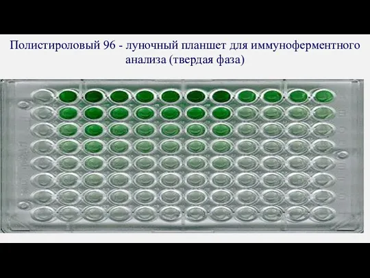 Полистироловый 96 - луночный планшет для иммуноферментного анализа (твердая фаза)