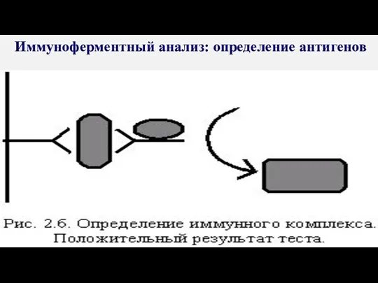 Иммуноферментный анализ: определение антигенов