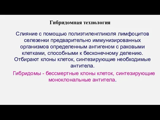 Гибридомная технология Слияние с помощью полиэтиленгликоля лимфоцитов селезенки предварительно иммунизированных