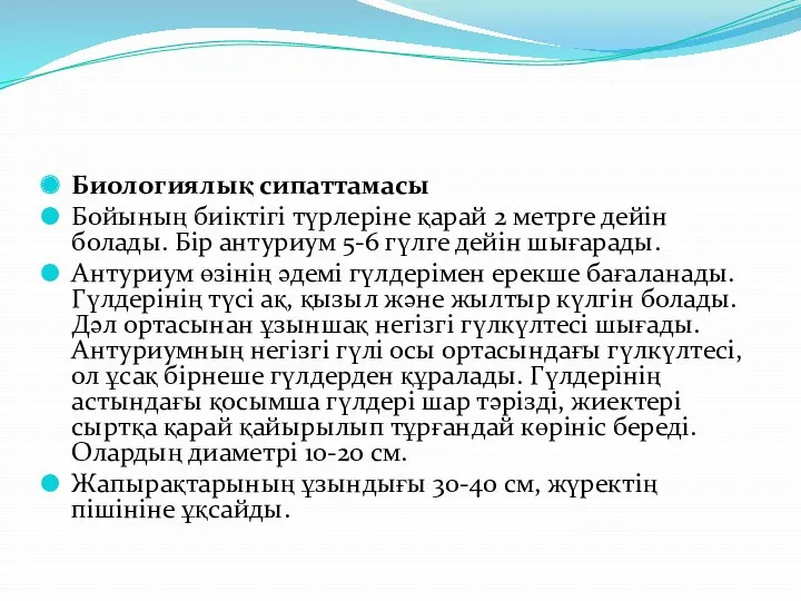 Биологиялық сипаттамасы Бойының биіктігі түрлеріне қарай 2 метрге дейін болады.