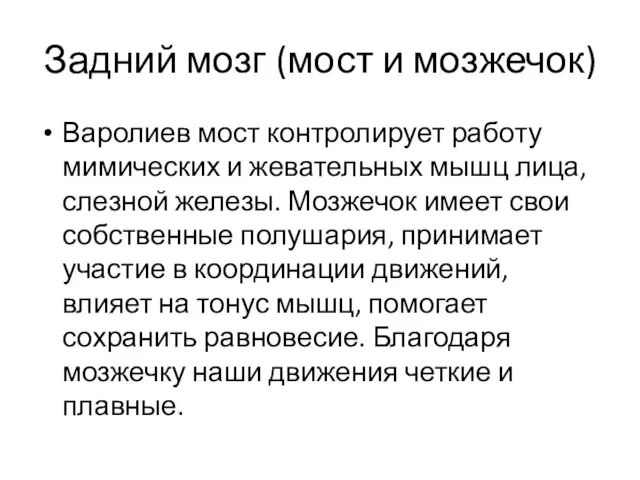 Задний мозг (мост и мозжечок) Варолиев мост контролирует работу мимических