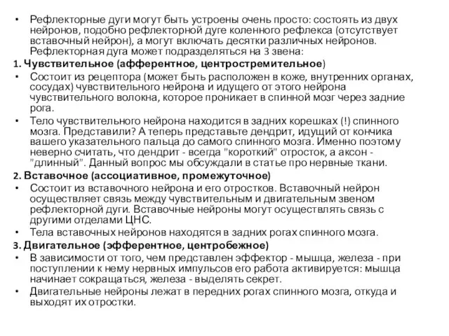 Рефлекторные дуги могут быть устроены очень просто: состоять из двух