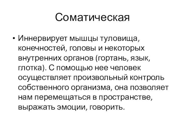 Соматическая Иннервирует мышцы туловища, конечностей, головы и некоторых внутренних органов