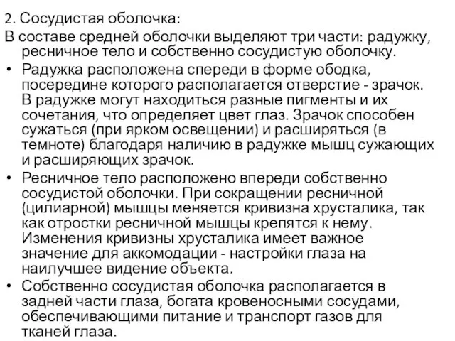 2. Сосудистая оболочка: В составе средней оболочки выделяют три части: