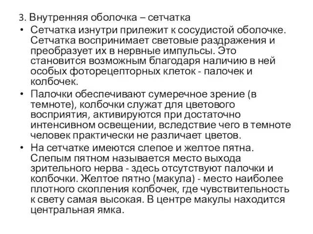 3. Внутренняя оболочка – сетчатка Сетчатка изнутри прилежит к сосудистой