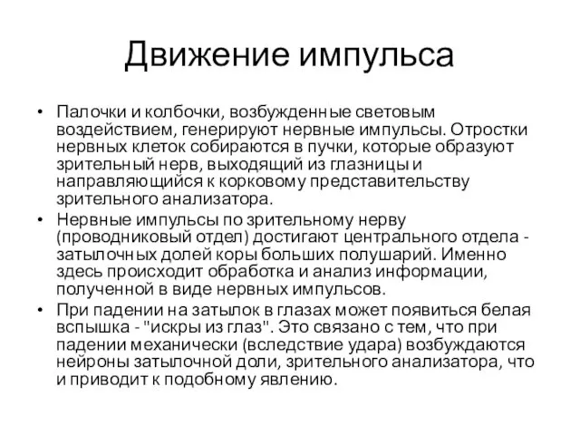 Движение импульса Палочки и колбочки, возбужденные световым воздействием, генерируют нервные