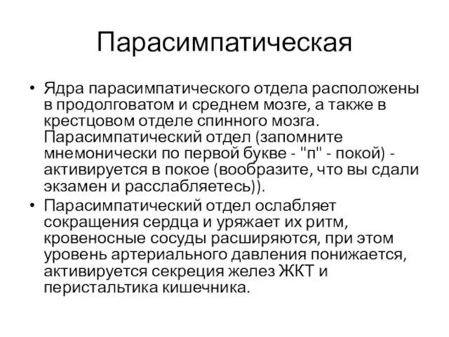 Парасимпатическая Ядра парасимпатического отдела расположены в продолговатом и среднем мозге,