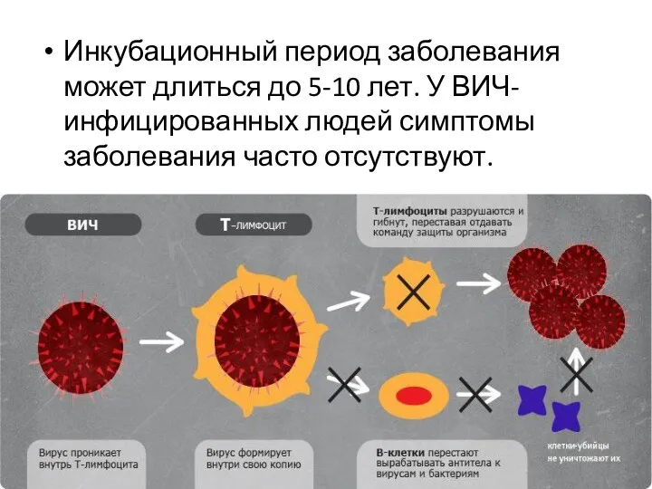 Инкубационный период заболевания может длиться до 5-10 лет. У ВИЧ-инфицированных людей симптомы заболевания часто отсутствуют.