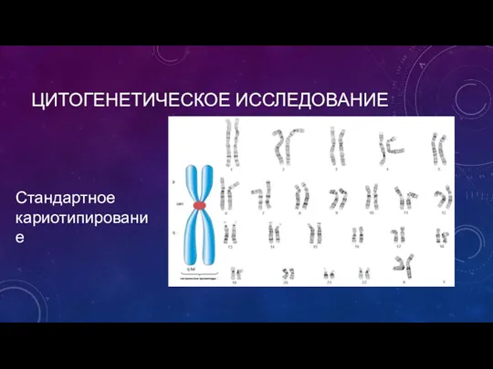 ЦИТОГЕНЕТИЧЕСКОЕ ИССЛЕДОВАНИЕ Стандартное кариотипирование