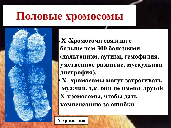 Половые хромосомы Х-хромосома Х -Хромосома связана с больше чем 300 болезнями (дальтонизм, аутизм,
