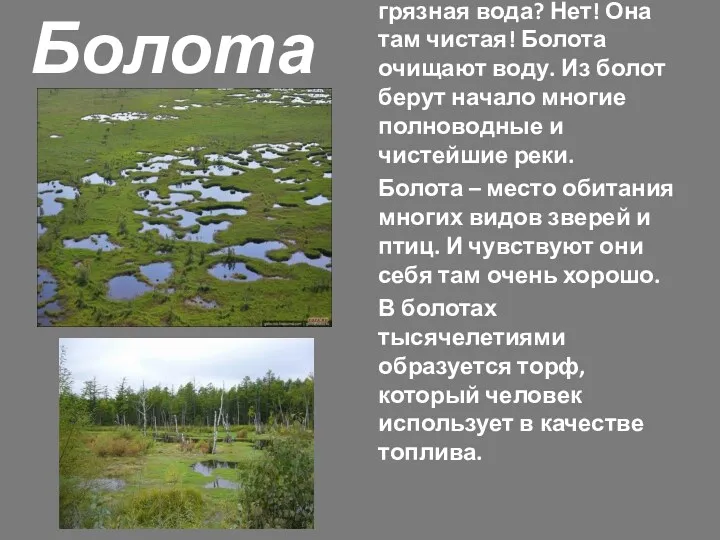 Болота Вы думаете, в болотах грязная вода? Нет! Она там