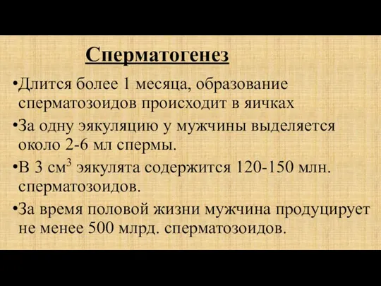 Сперматогенез Длится более 1 месяца, образование сперматозоидов происходит в яичках За одну эякуляцию