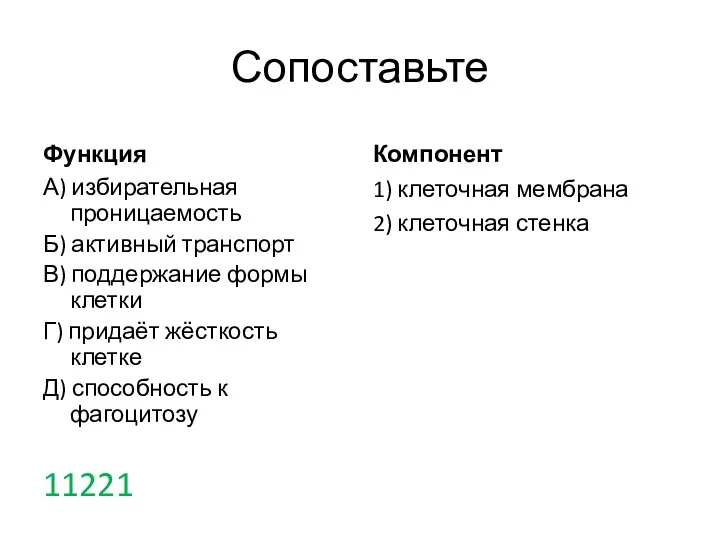 Сопоставьте Функция А) избирательная проницаемость Б) активный транспорт В) поддержание