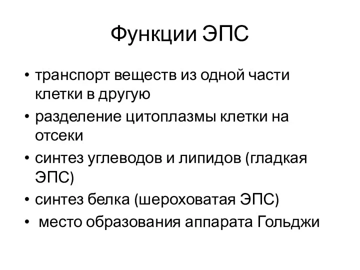 Функции ЭПС транспорт веществ из одной части клетки в другую разделение цитоплазмы клетки