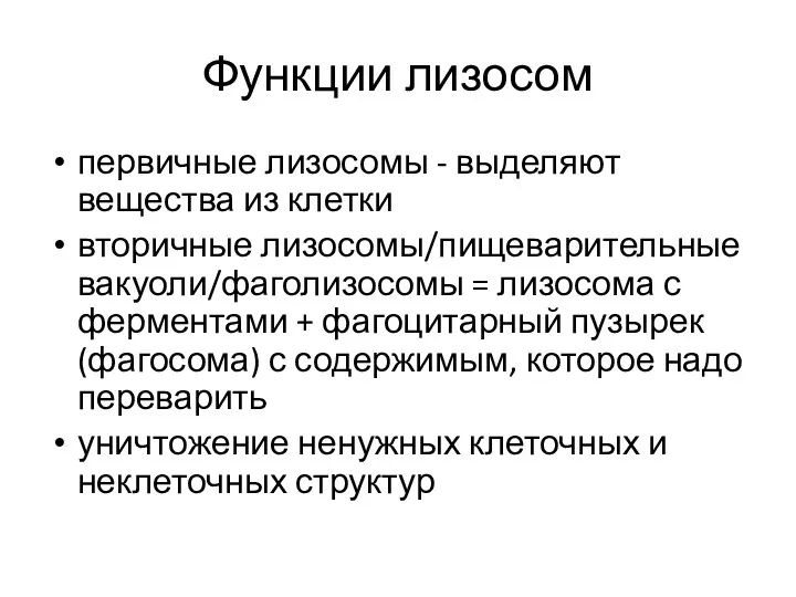 Функции лизосом первичные лизосомы - выделяют вещества из клетки вторичные