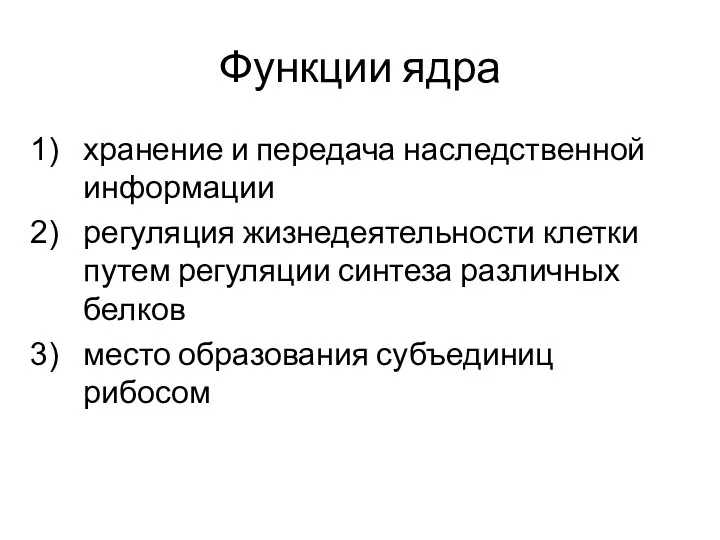 Функции ядра хранение и передача наследственной информации регуляция жизнедеятельности клетки