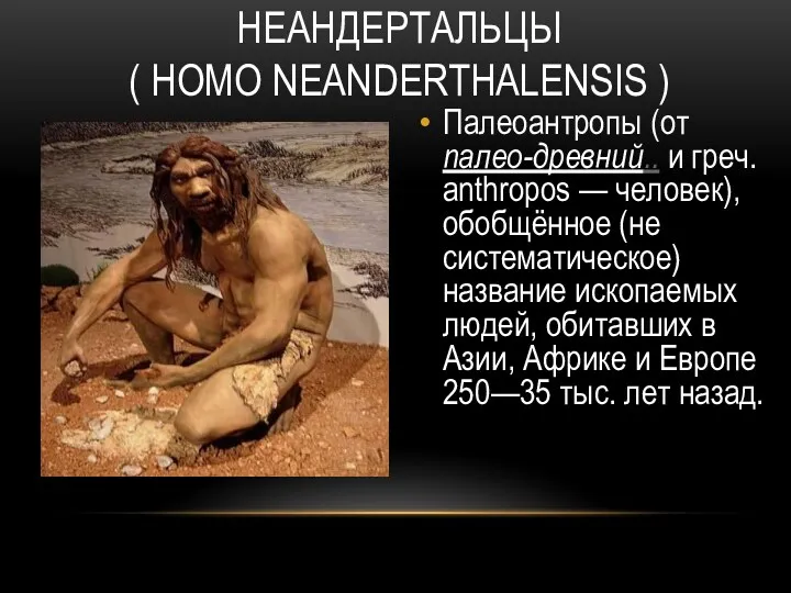 НЕАНДЕРТАЛЬЦЫ ( HOMO NEANDERTHALENSIS ) Палеоантропы (от палео-древний.. и греч. anthropos — человек),