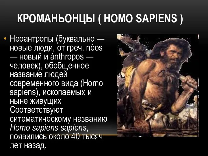 КРОМАНЬОНЦЫ ( HOMO SAPIENS ) Неоантропы (буквально — новые люди, от греч. néos