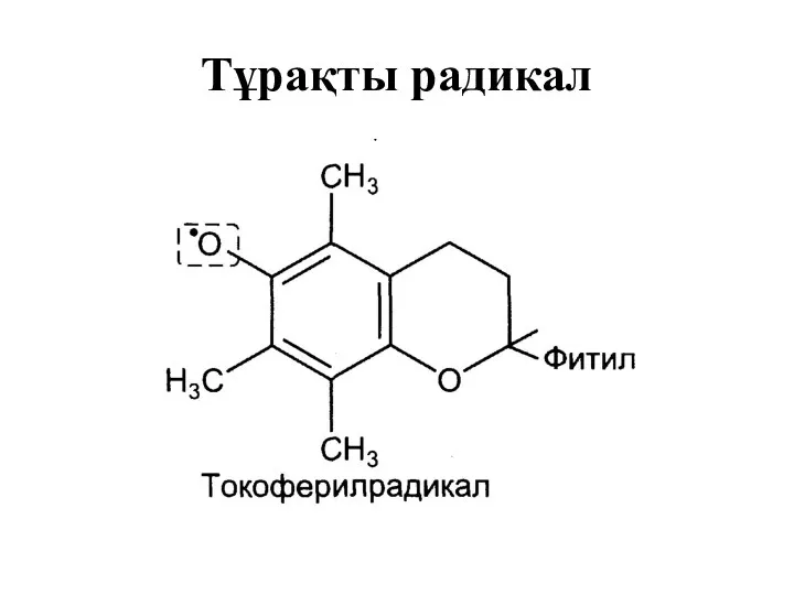 Тұрақты радикал