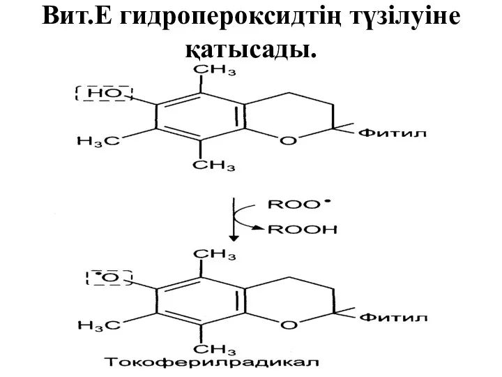 Вит.Е гидропероксидтің түзілуіне қатысады.