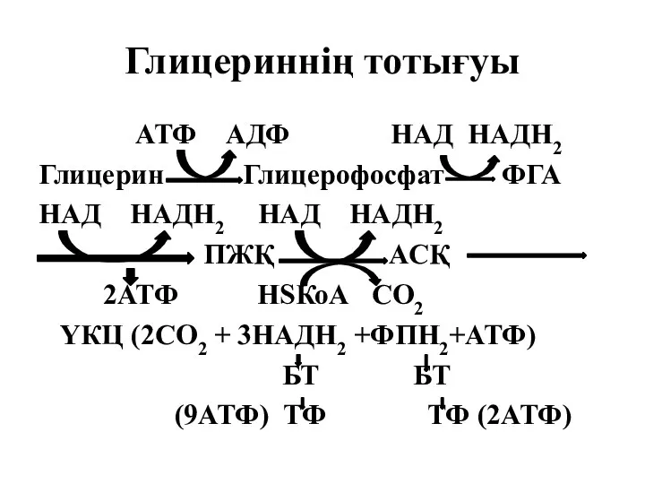 Глицериннің тотығуы АТФ АДФ НАД НАДН2 Глицерин Глицерофосфат ФГА НАД