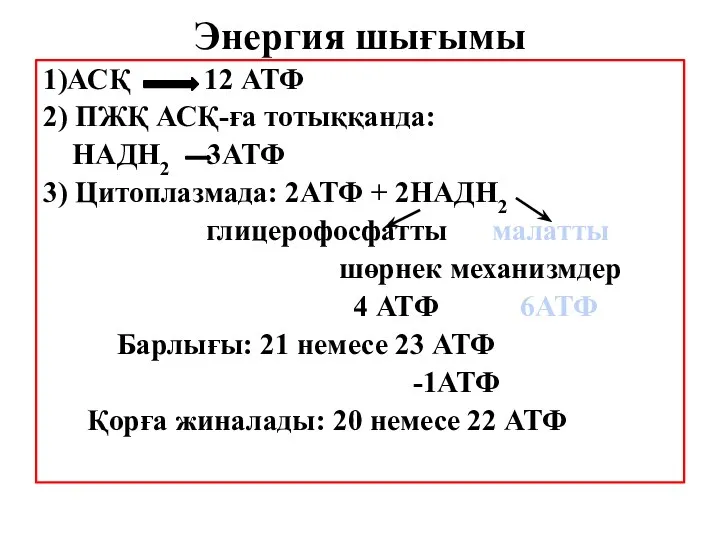 Энергия шығымы 1)АСҚ 12 АТФ 2) ПЖҚ АСҚ-ға тотыққанда: НАДН2