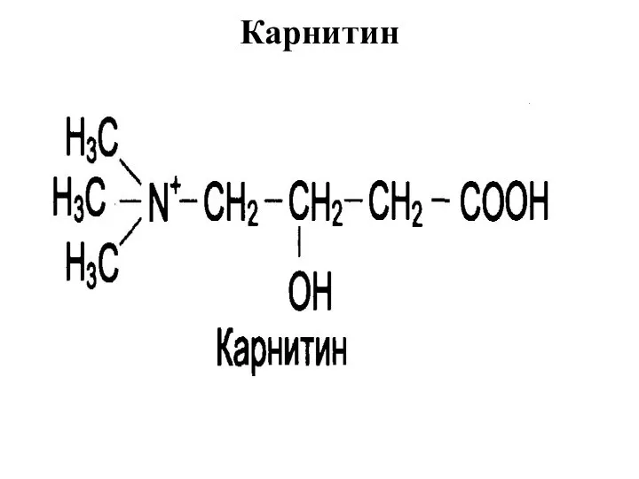 Карнитин