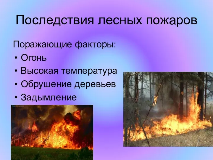 Последствия лесных пожаров Поражающие факторы: Огонь Высокая температура Обрушение деревьев Задымление