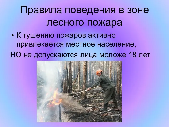 Правила поведения в зоне лесного пожара К тушению пожаров активно