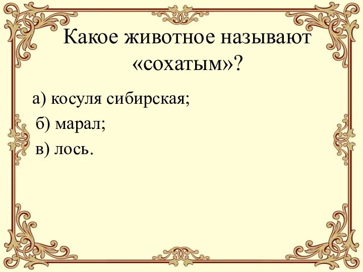 Какое животное называют «сохатым»? а) косуля сибирская; б) марал; в) лось.